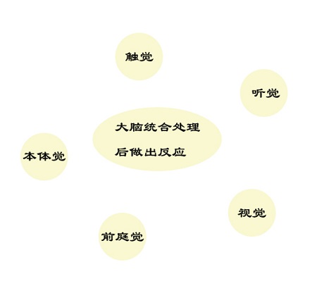 感覺統合訓練圖2