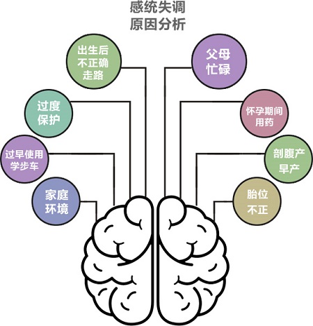 感統(tǒng)失調(diào)原因分析圖